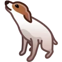 🕺
