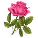 Lovely