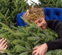 🌲