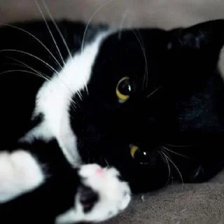 😠