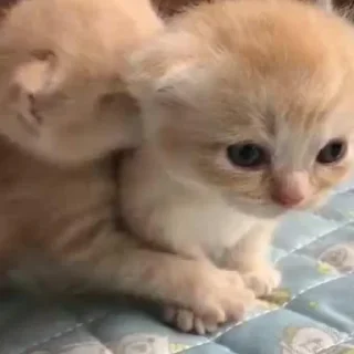 😴