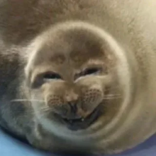😝