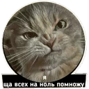 👊