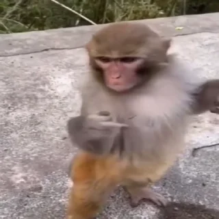 🖕