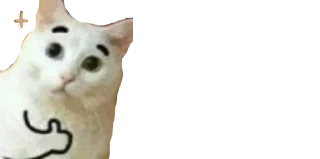 🐈