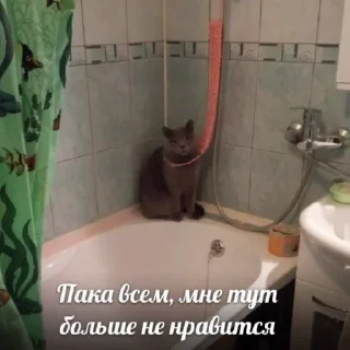 👋