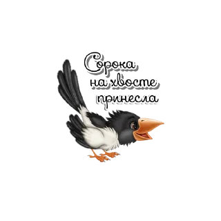 🐦‍⬛️