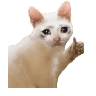 🥺