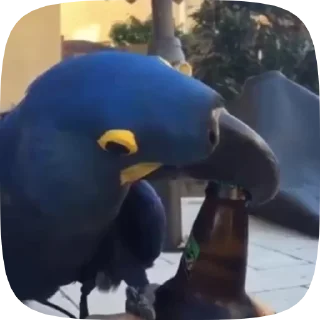 😚