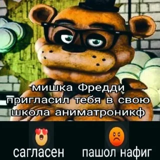 🐻