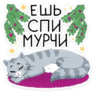 😴