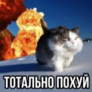 😂