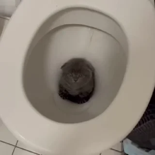 🚽