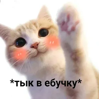 👆