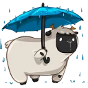 ☔