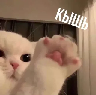 ❌
