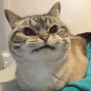 😠