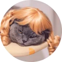 🐱