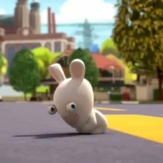 🐰