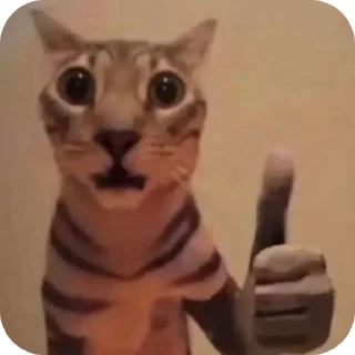 👍