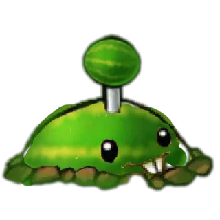 🐞
