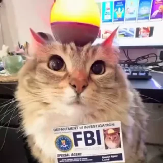 🤩