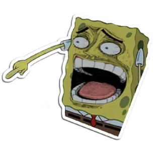 🧽