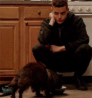 🐕