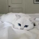 😶