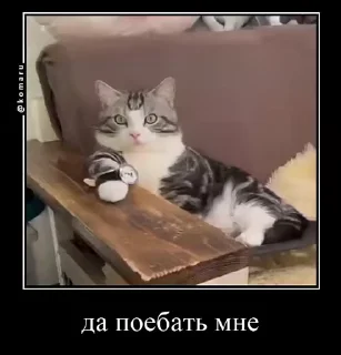 😡