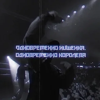 🤍