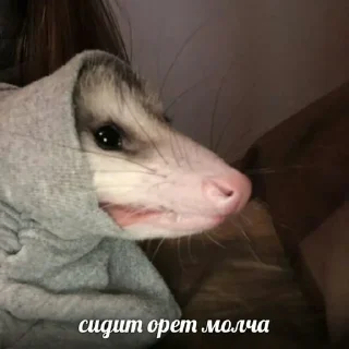 🤐