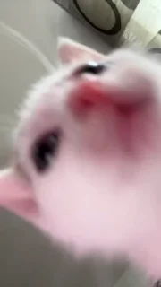 😍