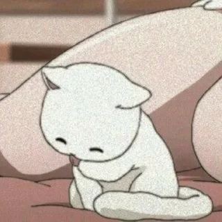 🐱