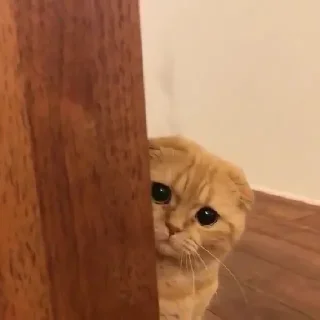 🙁
