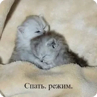 🛏