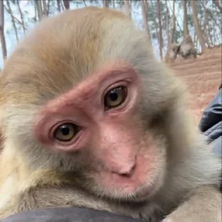 😍