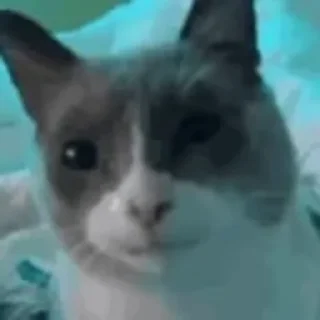 😳