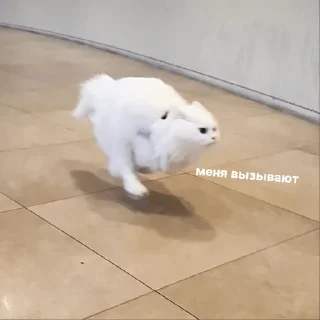 😮