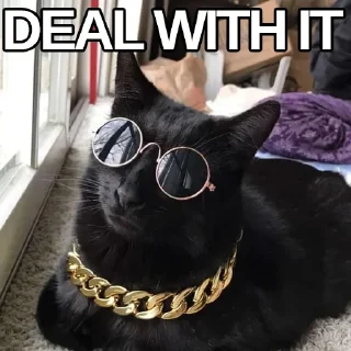 😎