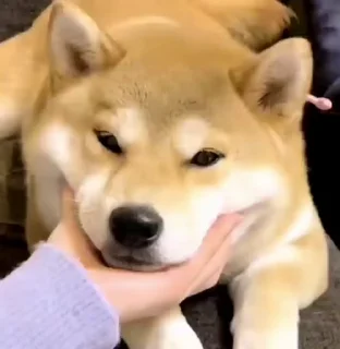 🫠