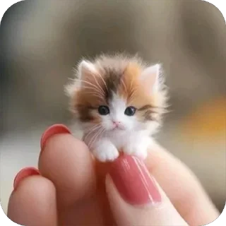 🥺