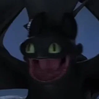 🌟
