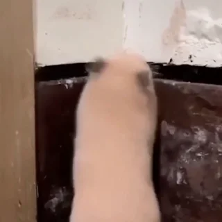 😱