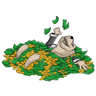 💸