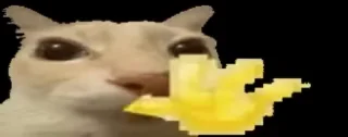 🙂