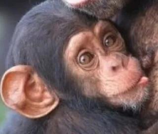 😛