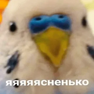 🙃