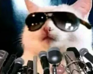 😎