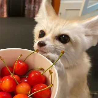 🍒
